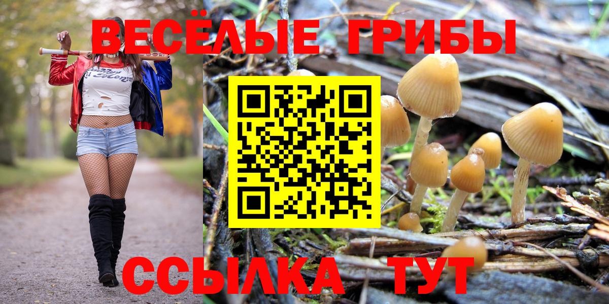 Алексин  Псилоцибиновые грибы GOLDEN TEACHER  Вход с VPN  Псилоцибиновые грибы Cubensis 