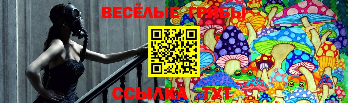 Псилоцибиновые грибы Psilocybe Алексин